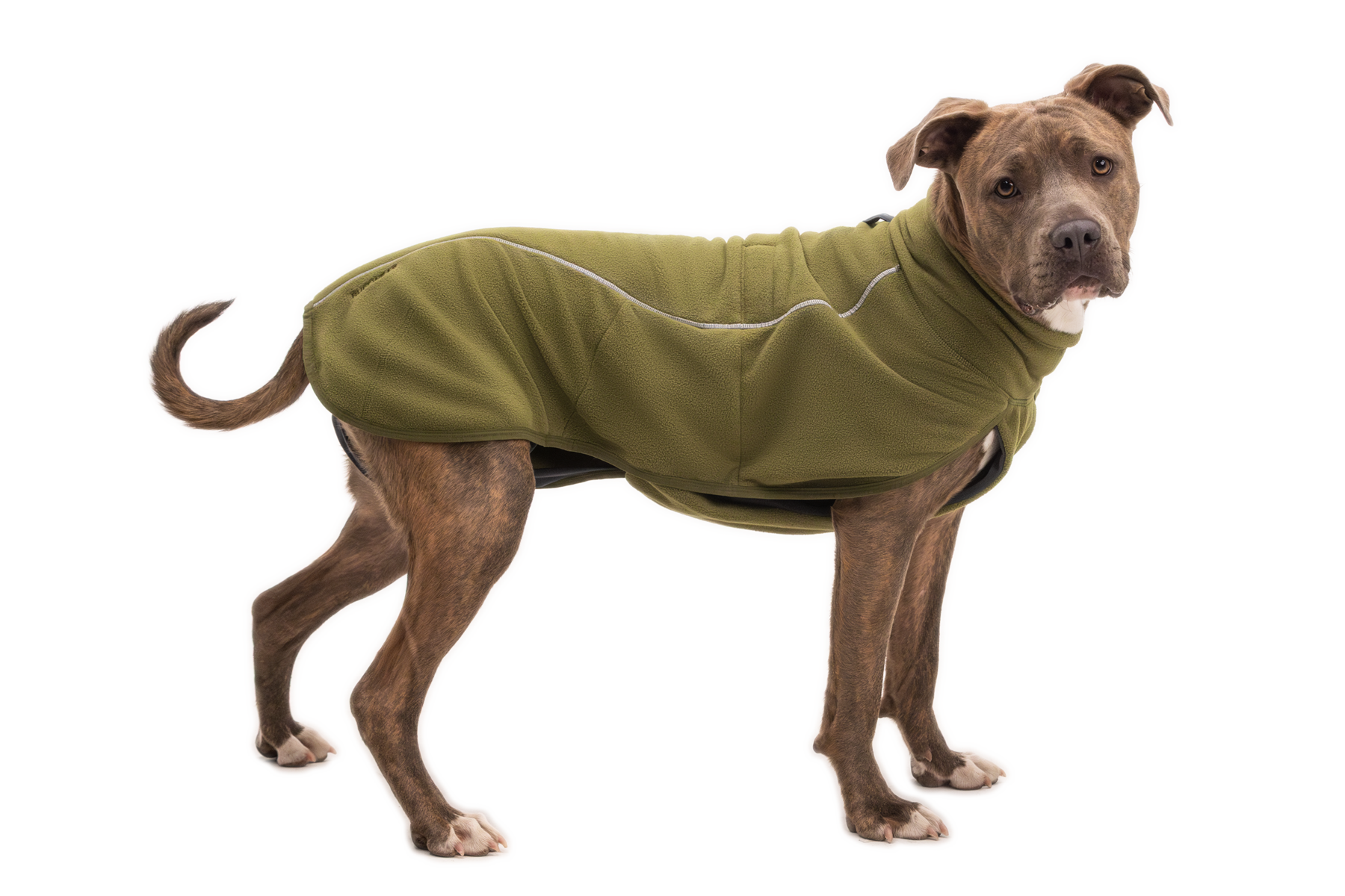 CompressedPNG-0588_Climate-Changer-Fleece-Vest_Cedar-Green_On-Dog_STUDIO.png