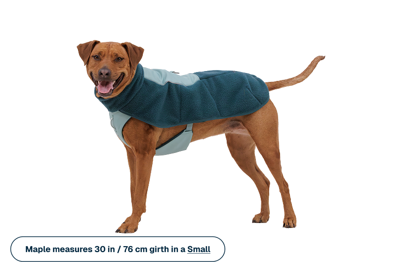 Group_8309.png
